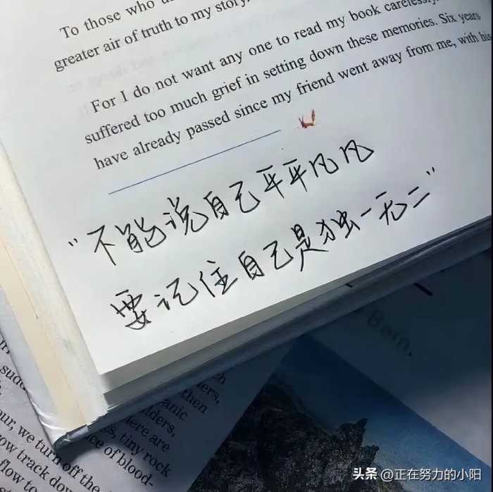 低谷期救赎文案丨“治愈自己最好的方式是忙碌和早睡.”