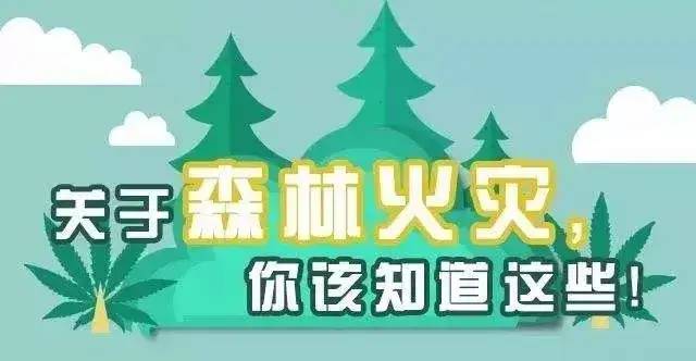 防火于未燃！这些森林防火知识，你知道吗？