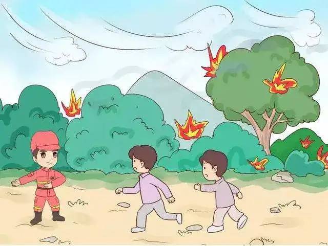 防火于未燃！这些森林防火知识，你知道吗？