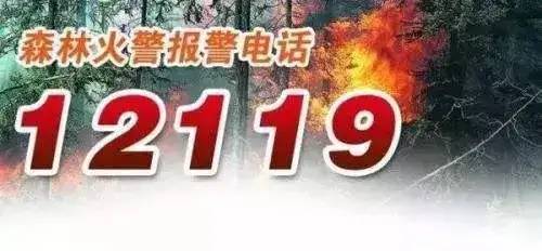 防火于未燃！这些森林防火知识，你知道吗？