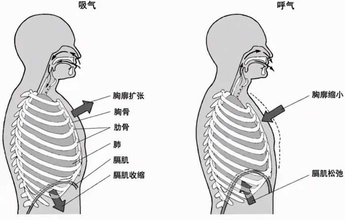 唱歌技巧：爱唱歌的人在KTV不敢开口，到底怎样唱歌才好听？