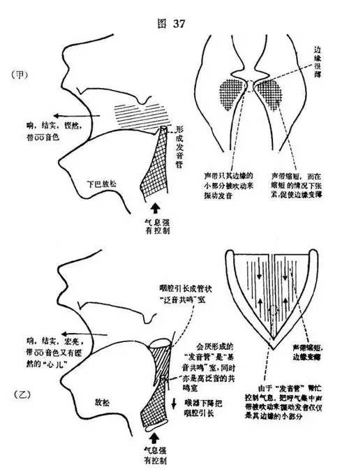 唱歌技巧：爱唱歌的人在KTV不敢开口，到底怎样唱歌才好听？