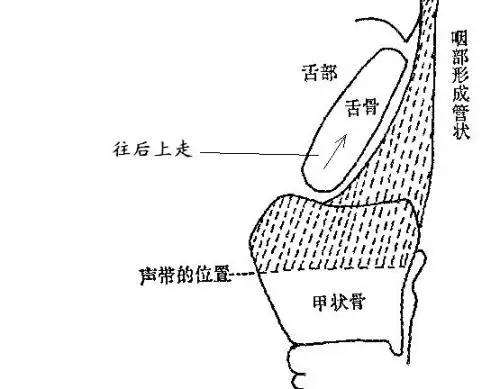 唱歌技巧：爱唱歌的人在KTV不敢开口，到底怎样唱歌才好听？