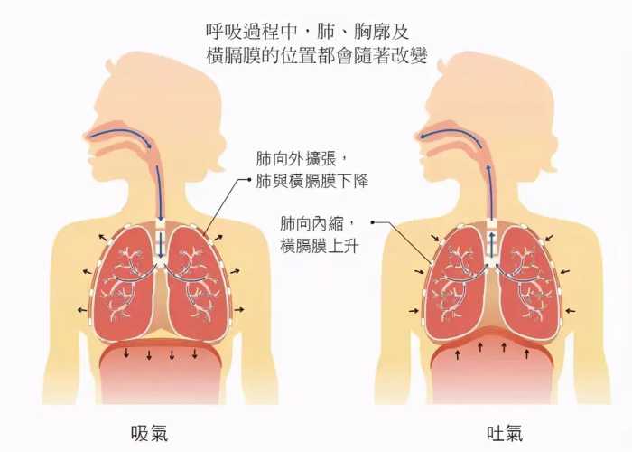 唱歌技巧：爱唱歌的人在KTV不敢开口，到底怎样唱歌才好听？