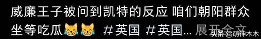 凯特王妃术后首露面！面颊圆润鼻子变塌惹质疑，威廉王子反应心虚