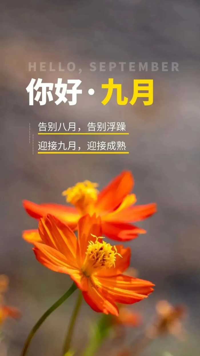 八月再见，九月你好唯美文案，总有一句适合你