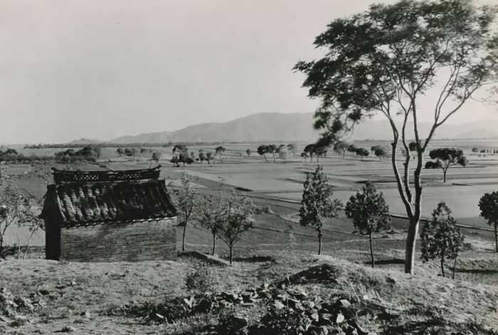 陕西老兵误入印度，滞留54年娶当地妻子，回国后含泪吃7碗手擀面